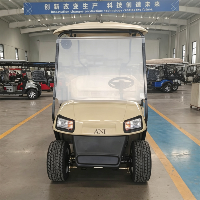 2座+货斗 米色 golf cart 800 (3).png